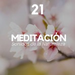 21 Meditación - Música de Fondo para Meditar, Sonidos de la Naturaleza, Música Relajante para Equilibrar los 7 Chakras