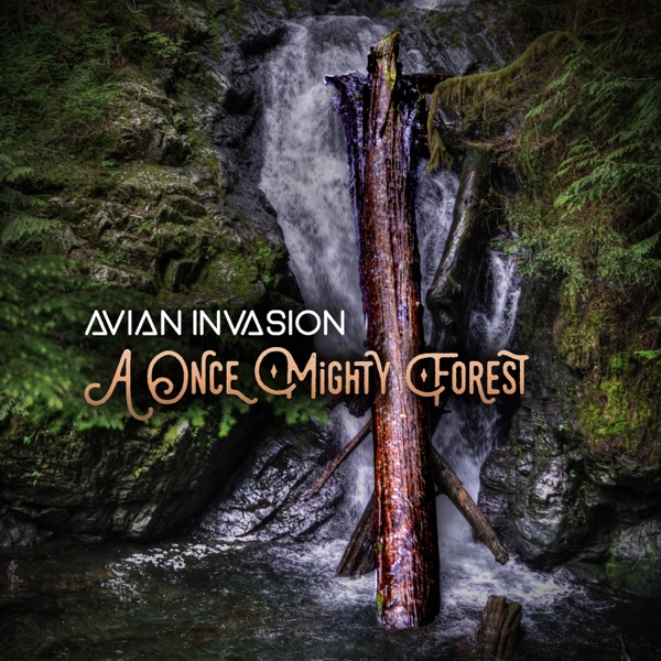 A Once Mighty Forest - Single