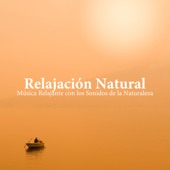 Relajación Natural: Música Relajante con los Sonidos de la Naturaleza, Cuencos Tibetanos, Piano artwork