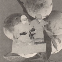 Frutas Estragadas - EP (feat. lzu) - Lessa Gustavo