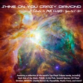 Shine on You Crazy Diamond artwork