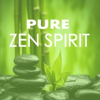 Pure Zen Spirit - Quiet Sounds for Chakra Tibetan Balancing Meditation, Spiritual & Mental Health - Peter Pure