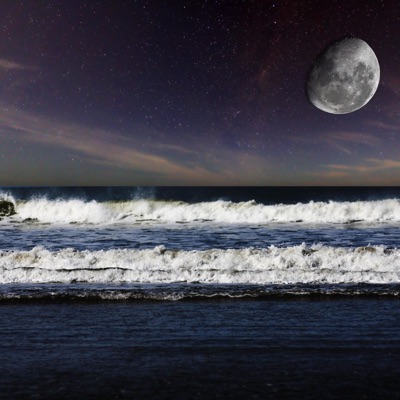 Vibe City Lifestyle - Single