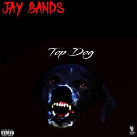 Sliding (feat. Yogi) Jay Bands
