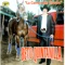De Brownsville a Tennessee - Beto Quintanilla lyrics