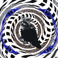 Accelerated Mortality - Single - Ravenscoon