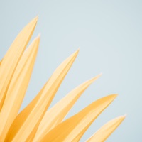 Self Love - Single - Samuel Sykes