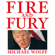 Michael Wolff - Fire and Fury