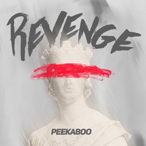 Revenge - Single