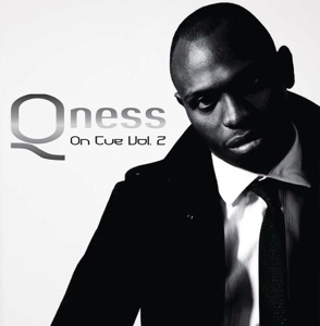 Believing (DJ Qness Remix) [feat. Kafele]