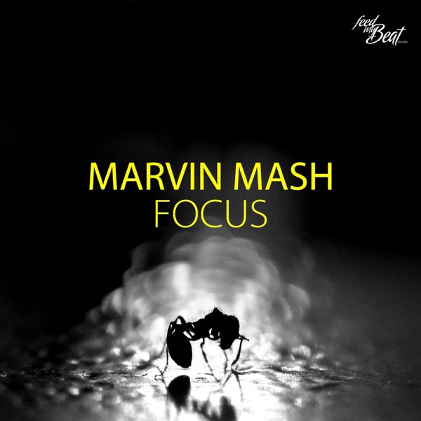 Focus - Single