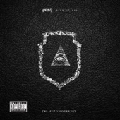 Seen It All (feat. JAY Z) artwork