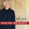 Neat With a Twist - David Benoit lyrics