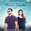 Tu Nahi Jaanda - Single