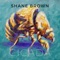 Crocodile - Shane Brown lyrics