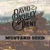 Mustard Seed - Single