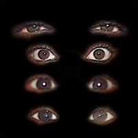 Believe Me - Single - Cat & Shorty V