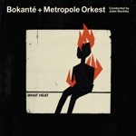 Bokanté, Metropole Orkest & Jules Buckley - Bòd Lanmè Pa Lwen