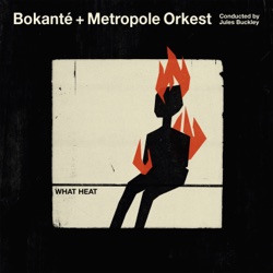 Bokanté - All the Way Home
