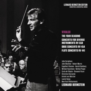 Concerto in C Major for Diverse Instruments, RV 558: II. Andante molto