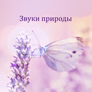 Звуки природы - Чистая релаксация, Лечебная медитация, Спа, Йога, Снизить стресс, Проблемы со сном