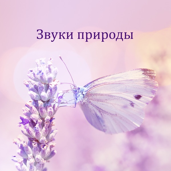 Звуки природы - Чистая релаксация, Лечебная медитация, Спа, Йога, Снизить стресс, Проблемы со сном