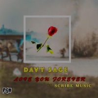 Love You Forever (feat. Scribe Music) - Single - Davy Sage
