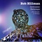 Dystopian Hellscape (For Donald J. Trump) - Bob Hillman lyrics