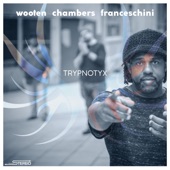 Victor Wooten, Dennis Chambers, Bob Franceschini - The 13th Floor