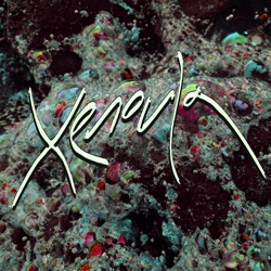 Xenoula - Caramello