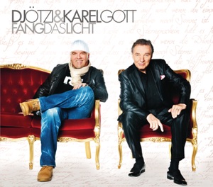 Fang das Licht (Single Version)