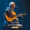 Maxime Le Forestier