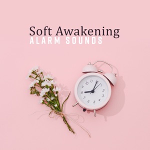 Soft Awakening: Alarm Sounds