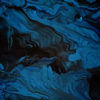 Criminal - Single - S.A.R.