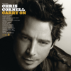 Billie Jean - Chris Cornell
