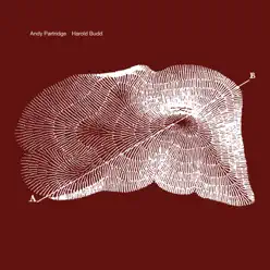 Through The Hill - Andy Partridge Through The Hill - Andy Partridge