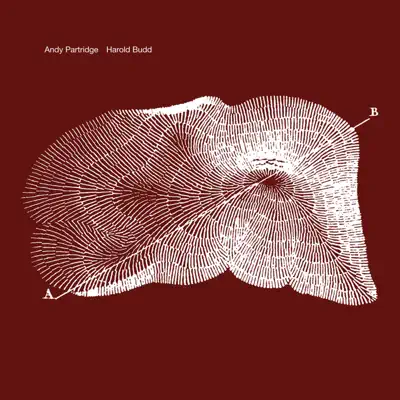 Through The Hill - Andy Partridge Through The Hill - Andy Partridge