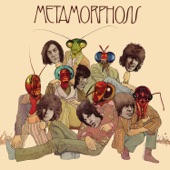 Metamorphosis artwork