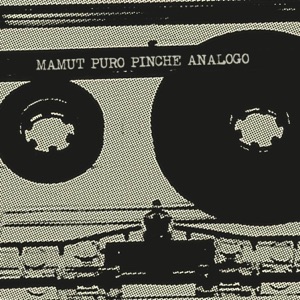 Puro Pinche Análogo