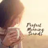 Stream & download Perfect Morning Sounds: Calm and Soft Wake Up Music