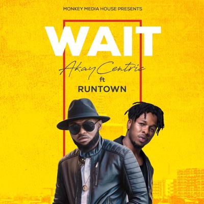 Wait (feat. Runtown) - Single