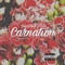 Carnation - Kwachie Adie lyrics