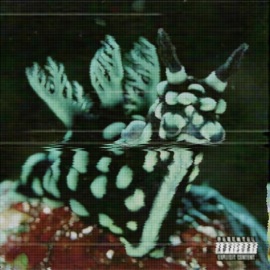 Uno ConFromThe703 & Induhgo