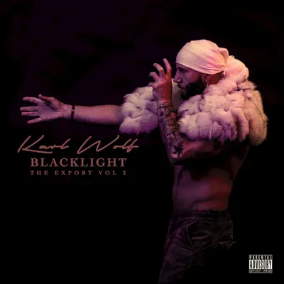Blacklight (The Export, Vol. 2) - Karl Wolf Blacklight (The Export, Vol. 2) - Karl Wolf