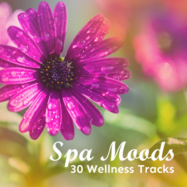 Spa Moods - 30 Wellness Tracks: New Age Rhythms of Deep Relaxation for Massage, Healing, Meditation, Beauty, Wellbeing