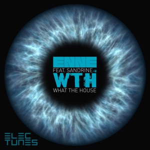 W.T.H. (What the House) [feat. Sandrine] - Single