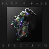 Spectrvm - Purple Haze
