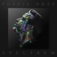 Contrast — Purple Haze