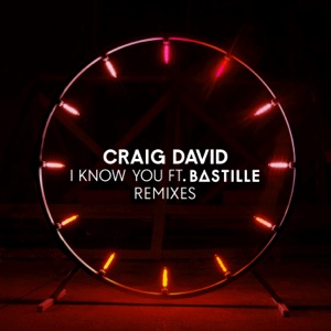 I Know You (feat. Bastille) [Remixes] - EP