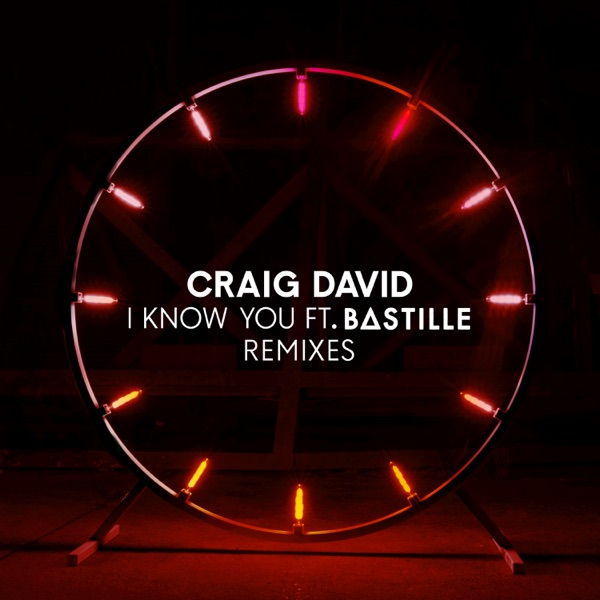 I Know You (feat. Bastille) [Remixes] - EP